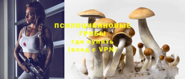 метамфетамин Богородицк