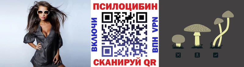 купить  сайты  Невель  Галлюциногенные грибы GOLDEN TEACHER 